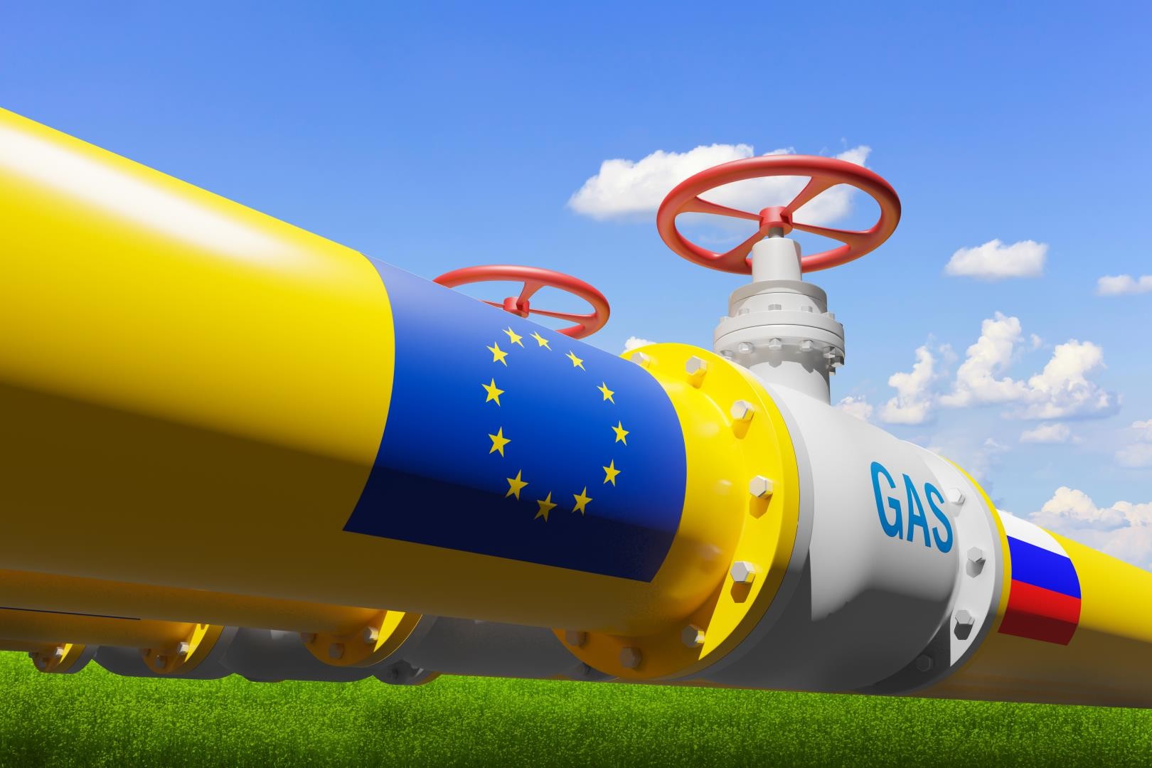 f038ede9ed92762bd34e8796d6146c05