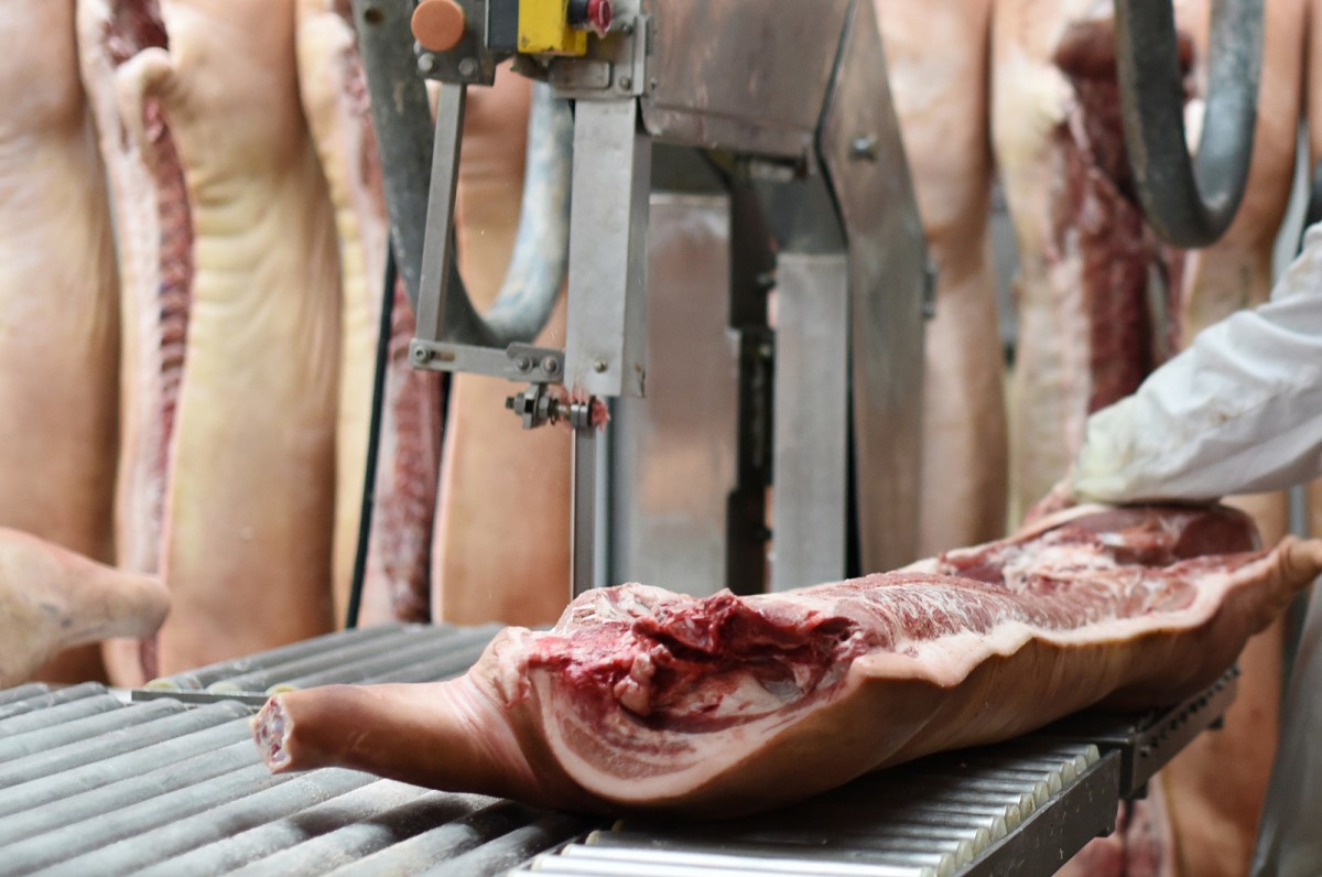 slaughterhouse_295172